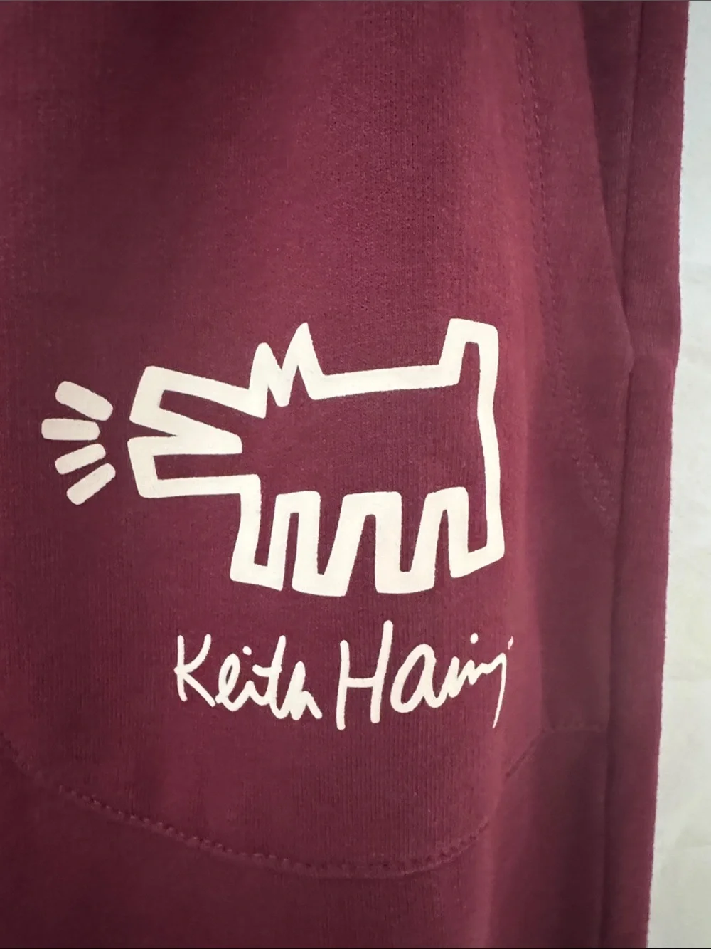 Keith Haring Iconic Dog Graphic Women's Maroon Sweatshirt & Joggers Set